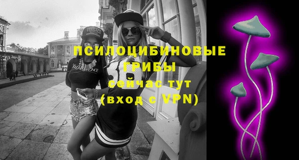 прущая мука Горно-Алтайск