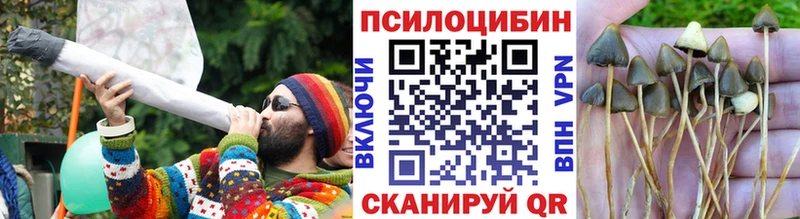 Псилоцибиновые грибы MAGIC MUSHROOMS  Гуково 