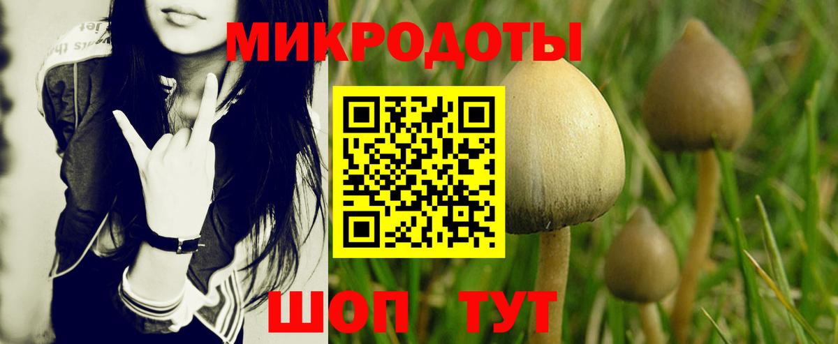 Галлюциногенные грибы Psilocybe  Вход с VPN  Галлюциногенные грибы Magic Shrooms  Гуково 